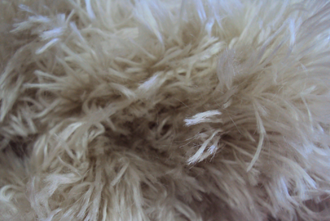 Pelo de Mono